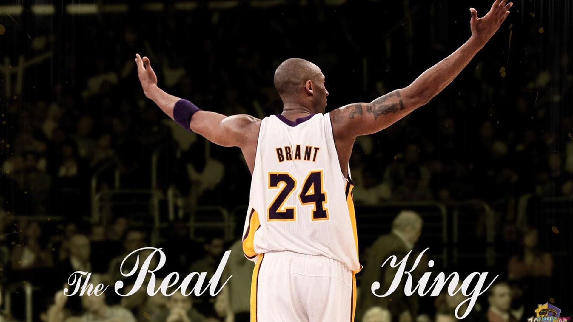 刷新纪录引发热议！Ming在勇士比赛中险胜，观众掌声雷动